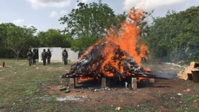 Photo of Incineran droga asegurada en Yucatán