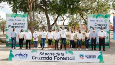 Photo of Ayuntamiento de Mérida inicia la Novena Cruzada Forestal