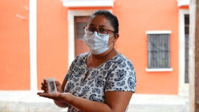 Photo of Gobierno de Yucatán continúa respaldando a productores apícolas