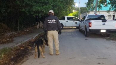 Photo of Realizan operativo contra narcomenudeo en Progreso