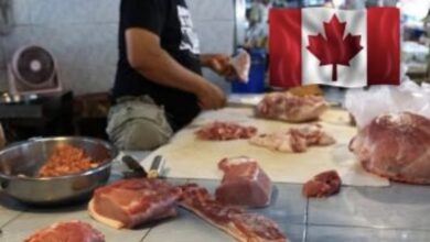 Photo of Ofrecen trabajo para mexicanos carniceros en Canadá