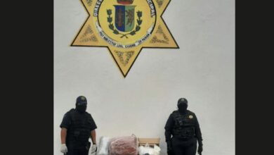 Photo of Policía Canina detectan droga en terminal de autobuses en Mérida