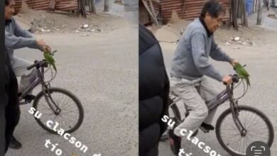Photo of Abuelito utiliza a su loro como claxon para su bicicleta