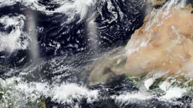 Photo of Polvo del Sahara, así se ve desde el espacio