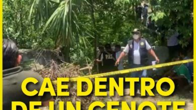 Photo of Cae dentro de un cenote y muere