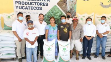Photo of Mauricio Vila continúa apoyando a productores yucatecos