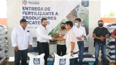 Photo of Productores agrícolas de Yucatán continúan recibiendo fertilizantes