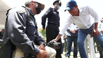 Photo of Yucatán fortalece su seguridad con la Unidad Canina K-9