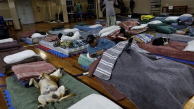 Photo of Albergue en Brasil ofrece refugio a indigentes con mascotas