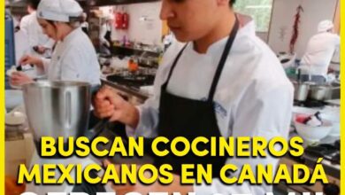 Photo of Busca en cocineros mexicanos en Canadá, ofrecen 37 mil pesos mensuales
