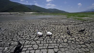 Photo of México declara emergencia por sequía extrema