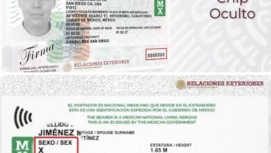 Photo of México lanza matrícula consular para personas no binarias en el extranjero