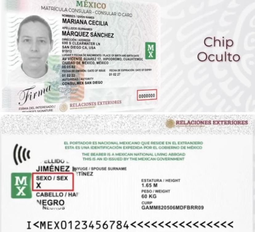 México Lanza Matrícula Consular Para Personas No Binarias En El ...