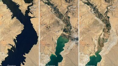 Photo of NASA publica fotos de sequía en lago Mead de EU; nivel de agua es el más bajo desde 1937
