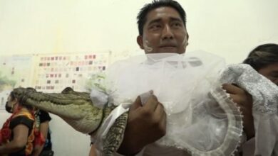 Photo of Como parte de ritual ancestral, alcalde de comunidad en Oaxaca se casa con una lagarta