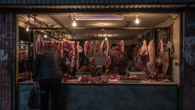 Photo of Estudios vuelven a apuntar al mercado de Wuhan como el epicentro del COVID