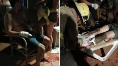 Photo of Cocodrilo ataca a dos turistas estadounidenses en Pueto Vallarta