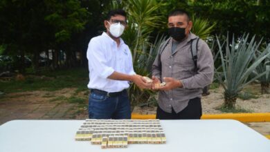 Photo of Apicultores de Yucatán continúan recibiendo abejas reina