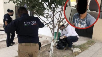 Photo of Hombre es detenido en Ciudad Juárez cuando destazaba a un perro para comérselo