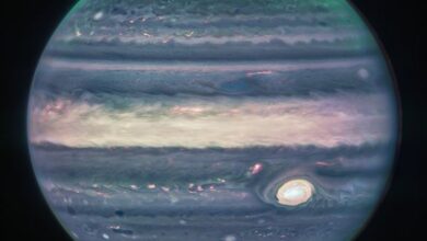 Photo of Telescopio James Webb fotografía a Júpiter con sus auroras y sus anillos