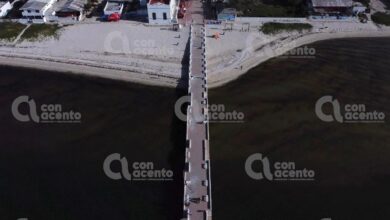 Photo of Hasta cuatro meses duraría la marea roja en Yucatán: Uady