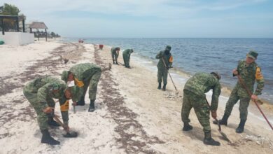 Photo of Militares se unen a la limpieza de peces muertos en las playas de Telchac Puerto