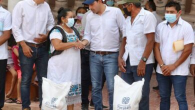 Photo of Mauricio Vila continúa mejorando la alimentación del sur de Yucatán  