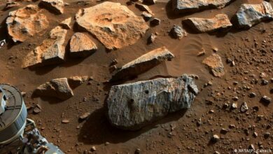 Photo of Perseverance halla rocas que podrían ser clave para determinar si hubo vida en Marte