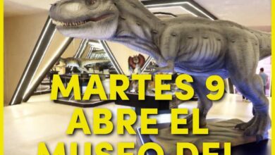 Photo of Mañana martes abre el Museo del Meteorito en Progreso