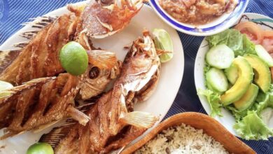 Photo of Canirac en Yucatán considera seguro consumir mariscos en restaurantes de la costa
