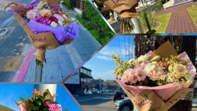 Photo of Tijuana responde a la violencia con arreglos florales