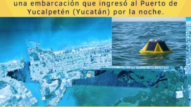 Photo of La UNAM reporta la desaparición de una boya frente a la costa de Sisal