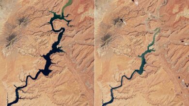 Photo of NASA muestran cómo se seca el lago de ‘El planeta de los simios’
