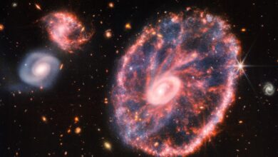 Photo of Telescopio James Webb revela el ‘caos’ de la galaxia Rueda de Carro