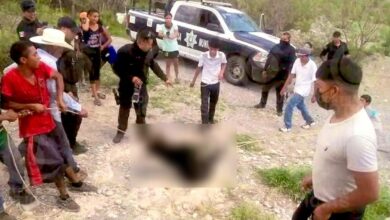 Photo of Amarran, arrastran y matan a osezno que bajo de la sierra por agua en Coahuila