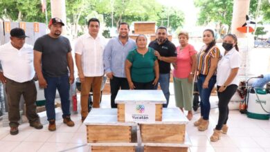 Photo of Gobierno de Yucatán continúa fortaleciendo el campo