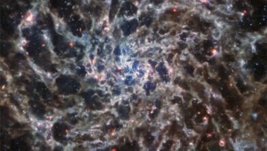 Photo of Telescopio James Webb capta ‘esqueleto’ de galaxia en espiral