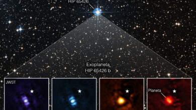 Photo of El telescopio Webb de la NASA toma su primera imagen de un exoplaneta