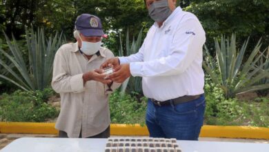 Photo of Respaldo de Mauricio Vila llega a más apicultores