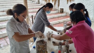Photo of Realizan el “2do. Colillatón 2022” en Chichén Itzá: recolectan más de 5 mil colillas
