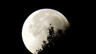 Photo of En otoño, disfruta del eclipse de Luna y una lluvia de estrellas