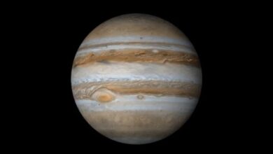Photo of Hoy, el acercamiento de Júpiter a la Tierra en casi 60 años