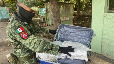 Photo of Ejército Mexicano aseguró más de 10 kilos de marihuana escondidos en maletas