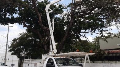 Photo of Telecom avanza en la red de Internet gratis para Yucatán