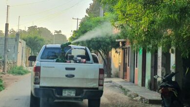 Photo of Salud continúa con fumigaciones en Mérida