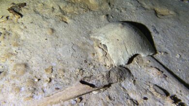 Photo of Hallan esqueleto prehispánico en cenote amenazado por el Tren Maya