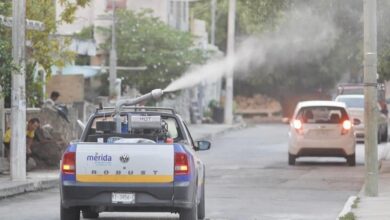 Photo of Continúan las fumigaciones en Mérida