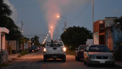 Photo of Avanza el segundo barrido de fumigación en Mérida