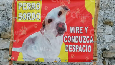 Photo of Muere “Sordo”, perrito con discapacidad de Sinanché