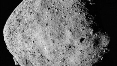 Photo of Asteroide potencialmente peligroso pasará “cerca” de la Tierra este 1 de noviembre